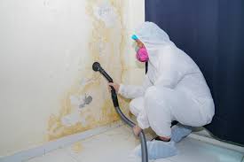 Best Residential Mold Inspection & Testing in Levittown, PA